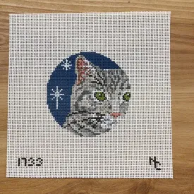 Gray Tabby Glimpse Canvas
