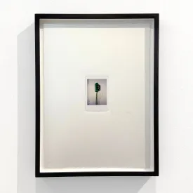 Martin Boyce: Shot Telephone, 2024