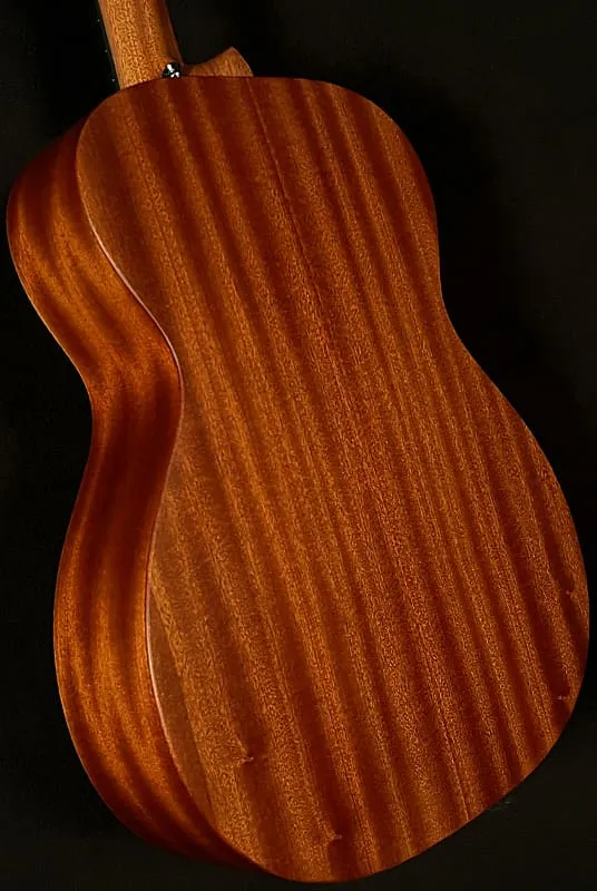 Martin Guitars 000 Jr-10